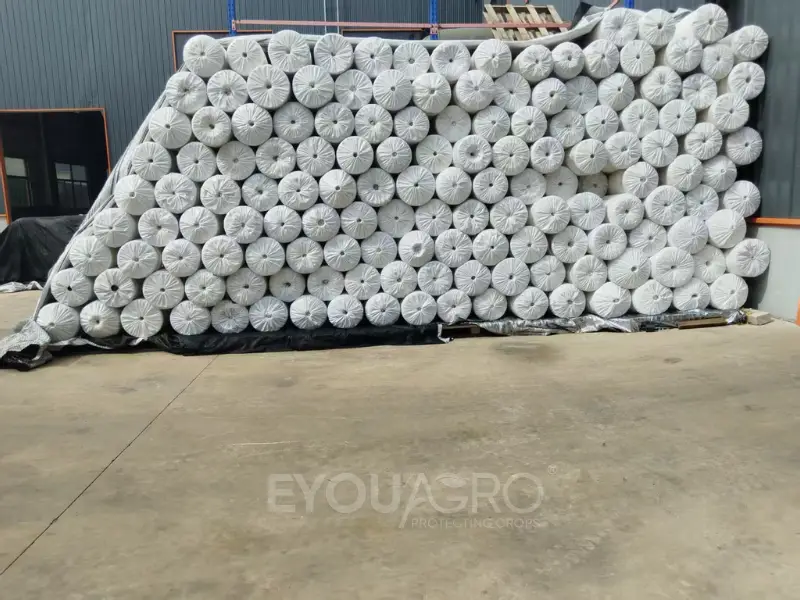 vineyard side netting ready