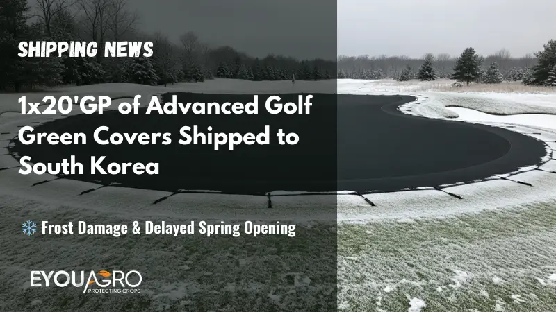 shipping new golf green covers shipped to south korea