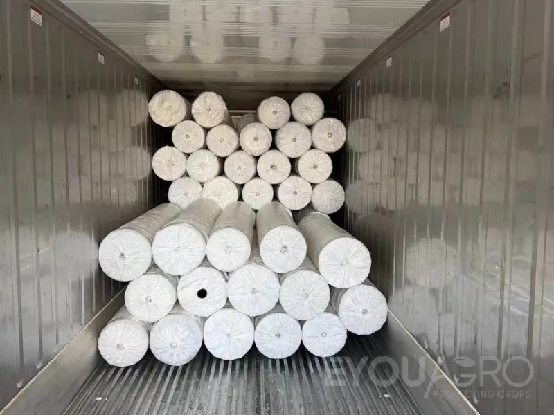 zatížení větrolamové sítě