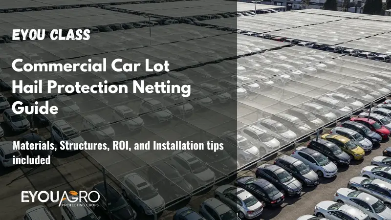 car lot hail protection