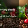 Coffee Nursery Shade FAQ: Shade %, Watering, Structure, Materials