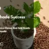 Coffee Shade Success Stories