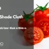 Tomato Shade Cloth Color: Black vs White vs Aluminum