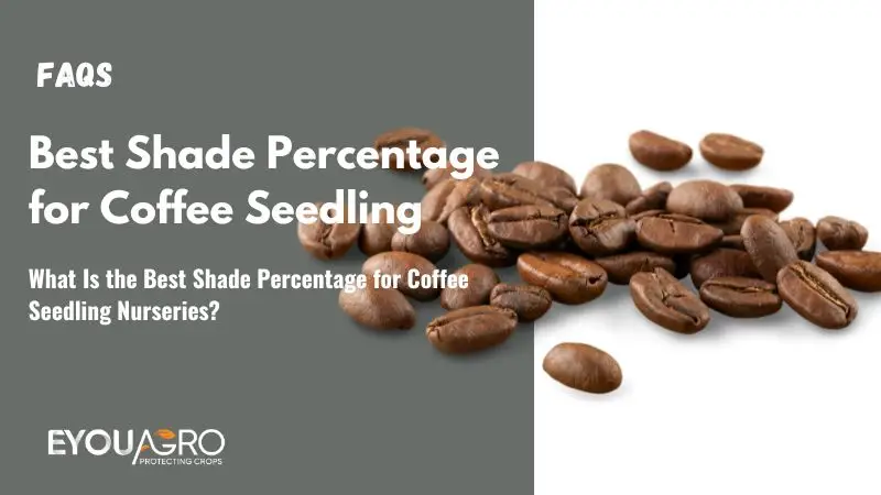 What Is the Best Shade Percentage for Coffee Seedling Nurseries?
