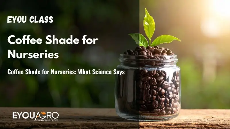 Coffee Shade for Nurseries: What Science Says