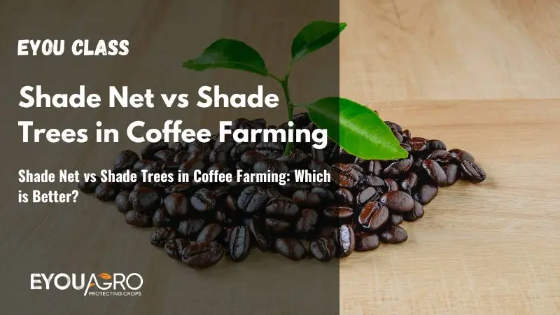 Shade Net vs Shade Trees in Coffee Farming: Which is Better?