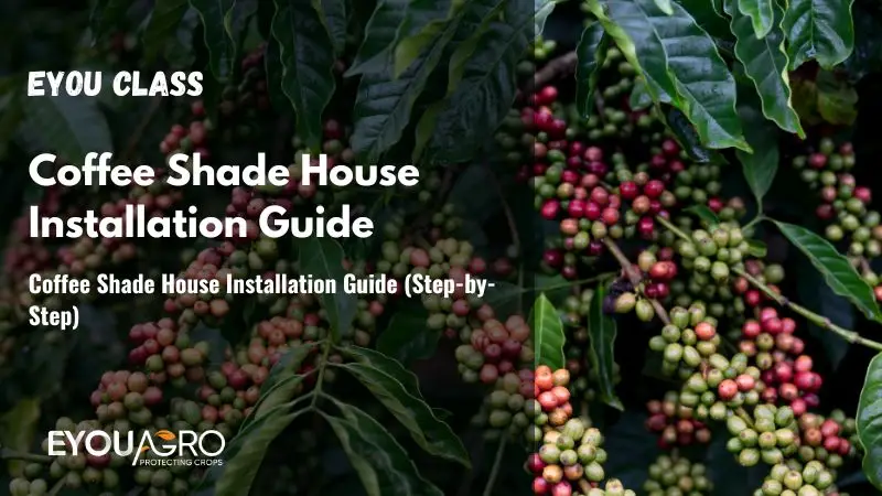 Coffee Shade House Installation Guide (Step-by-Step)