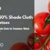 tomato shade 30% vs. 50%