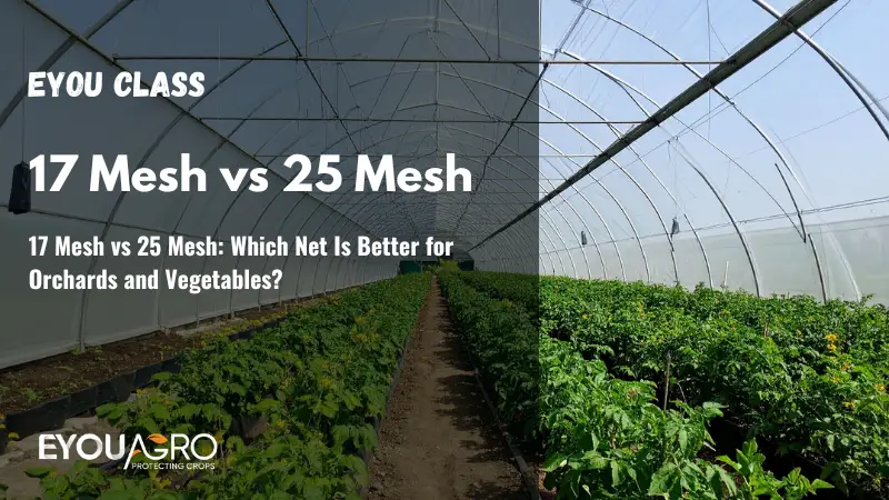 17 mesh vs 25 mesh which net is better for orchards and vegetables