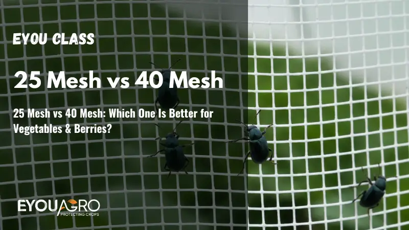25 mesh vs 40 mesh which one is better for vegetables & berries