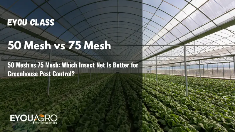 50 mesh vs 75 mesh which insect net is better for greenhouse pest control