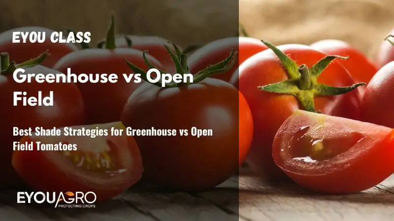 best shade strategies