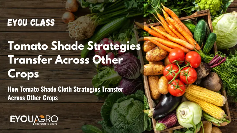 كيف تنتقل استراتيجيات قماش التظليل للطماطم عبر المحاصيل الأخرى