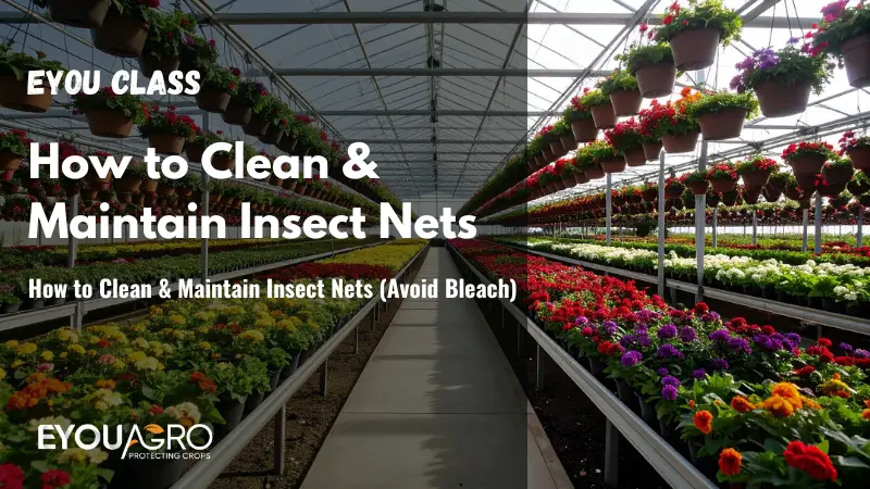 come pulire e mantenere le zanzariere (evitare la candeggina)