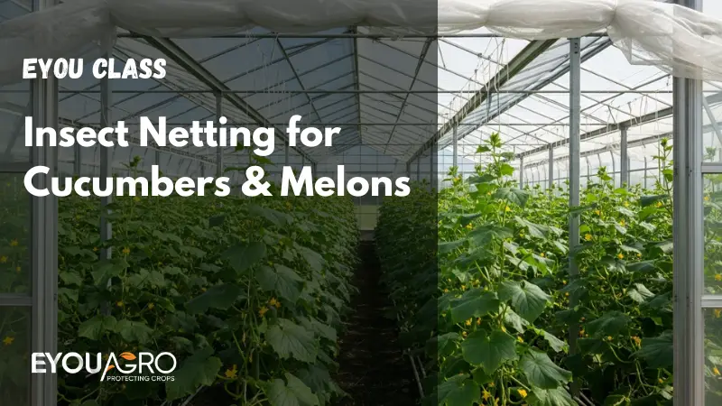 insect netting for cucumbers & melons