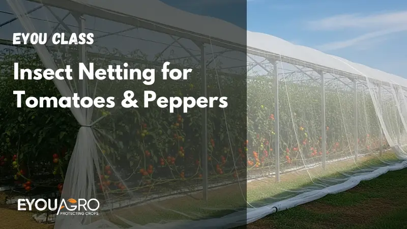 insect netting for tomatoes & peppers