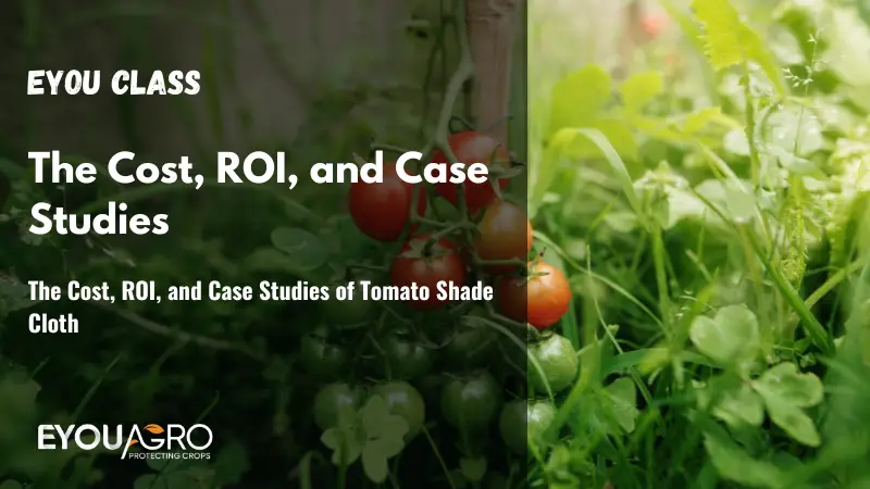 التكلفة والعائد على الاستثمار ودراسات الحالة لقماش التظليل الطماطمي