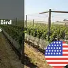 vineyard bird netting suppliers usa