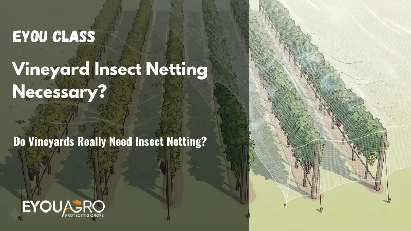 vineyard insect netting decision hero