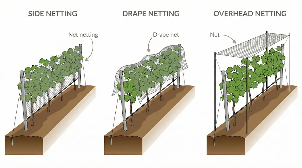Different vineyard net installation types and their wind protection performance