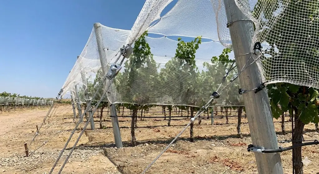 Vineyard netting system design and airflow considerations