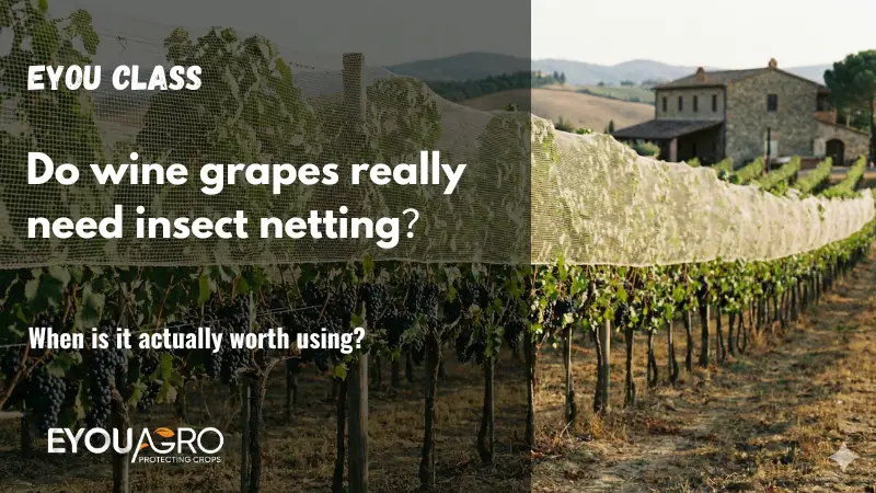 rete anti-insetti per uva da vino vigneto