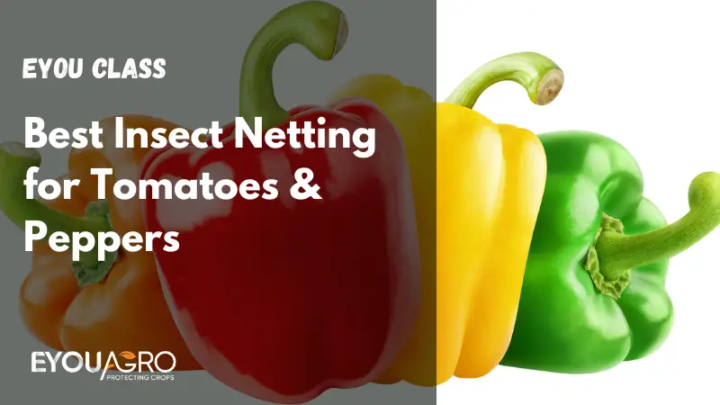 best insect netting for tomatoes & peppers