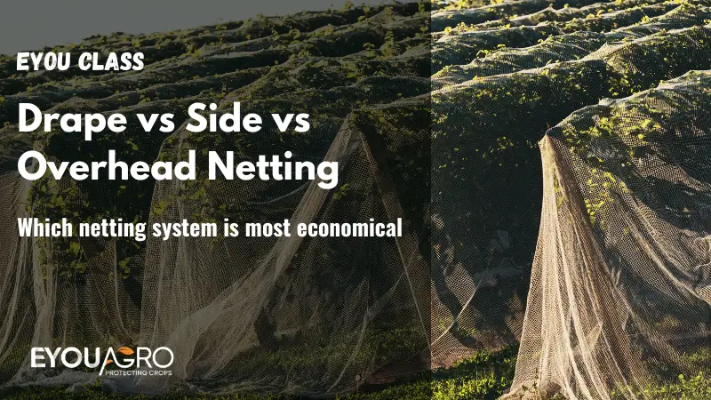 ستارة مقابل شبكة جانبية مقابل شبكة علوية