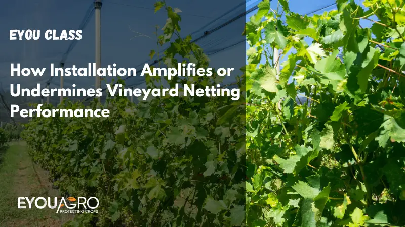 how installation amplifies or undermines vineyard netting performance