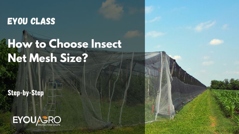how to choose insect net mesh size