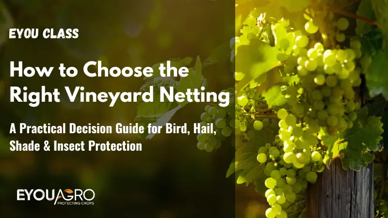 Cómo elegir la red adecuada para el viñedo