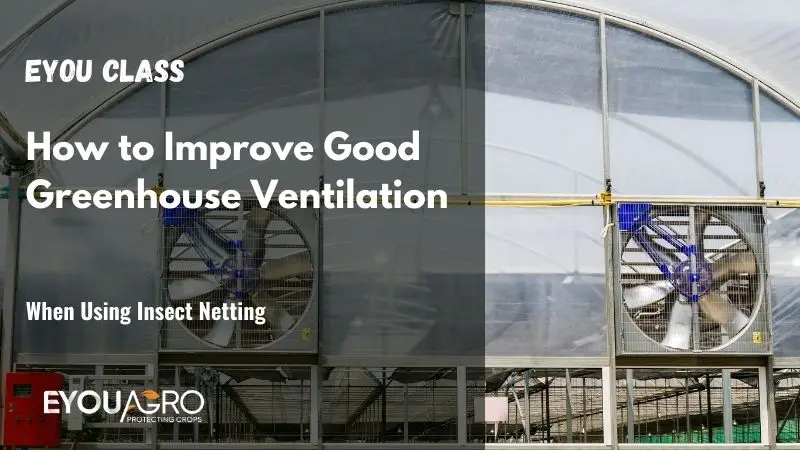 improve good greenhouse ventilation