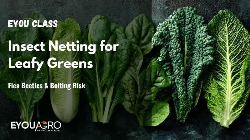 insect netting for leafy greens (2)