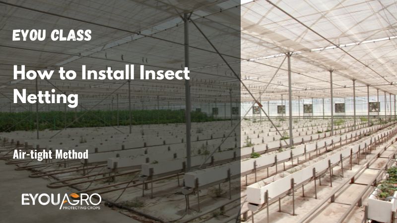 install insect netting