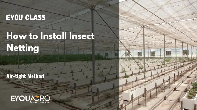 install insect netting
