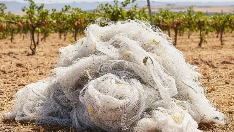 leave vineyard nets in sunheat after removal