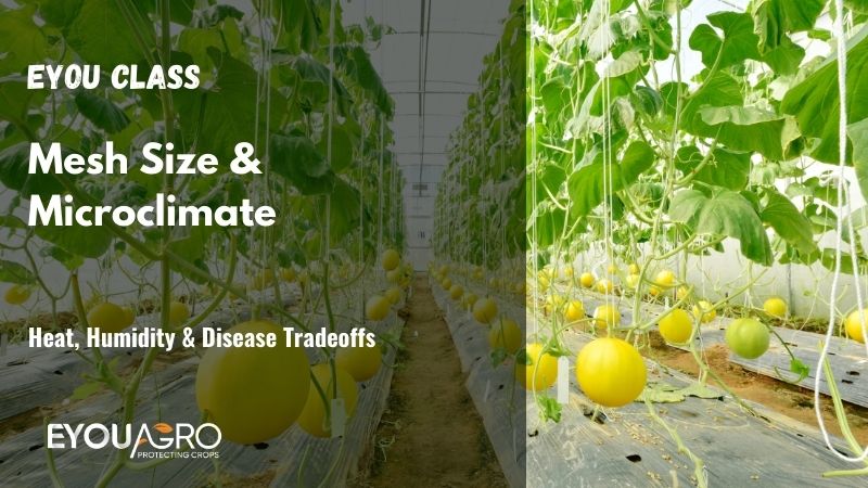 mesh size & microclimate