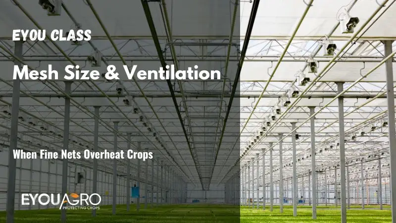 mesh size & ventilation