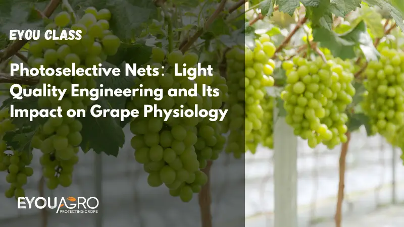 photoselective nets：light quality engineering and its impact on grape physiology