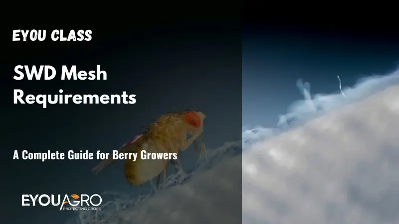 swd mesh requirements