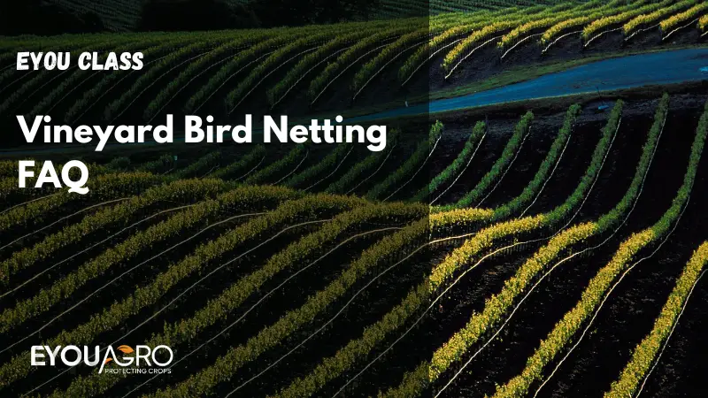 vineyard bird netting faq