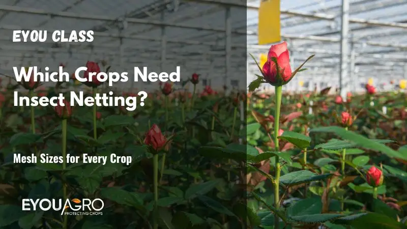 which crops need insect netting