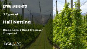 3 types of hail netting