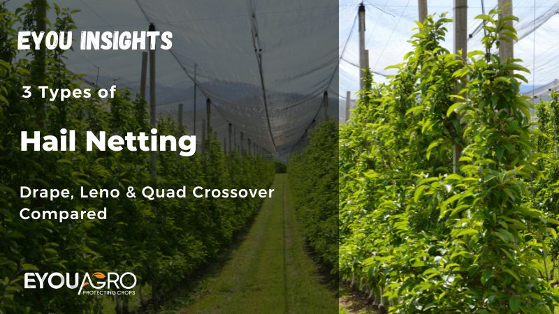 3 types of hail netting