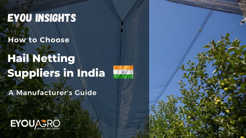 hail net supplier in india