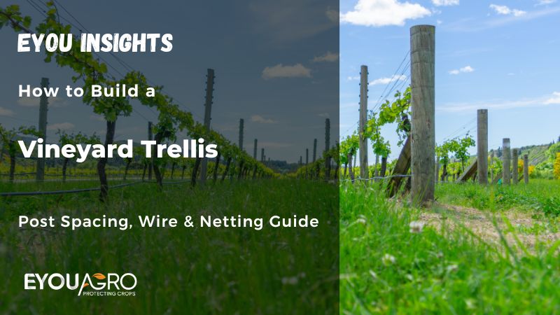 vineyard trellis