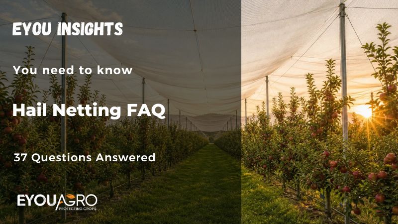hail netting faq