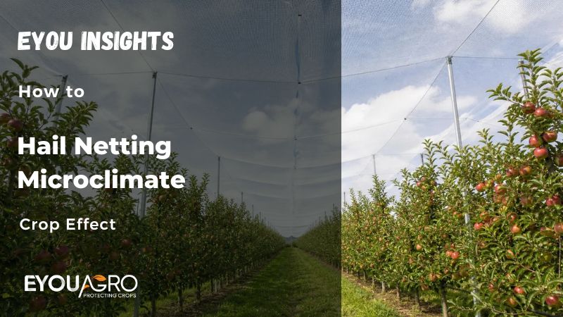 hail netting microclimate crop effect
