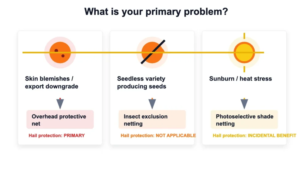 d3 citrus img 02 net system decision tree 1200x675