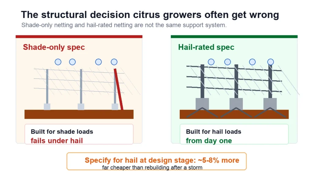 d3 citrus img 05 hail rated structure comparison 1200x675